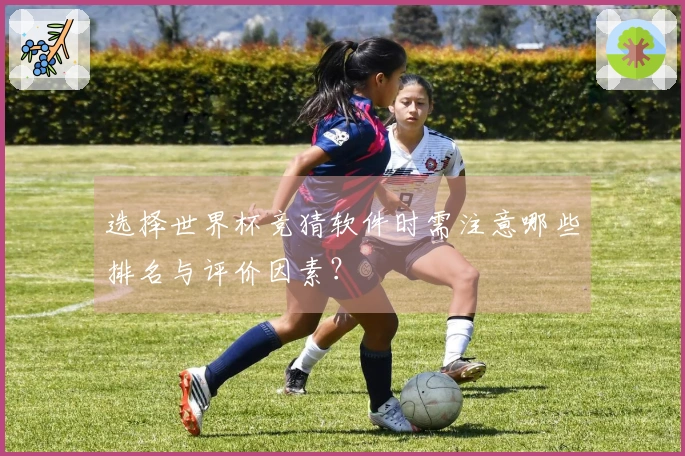 选择世界杯竞猜软件时需注意哪些排名与评价因素？